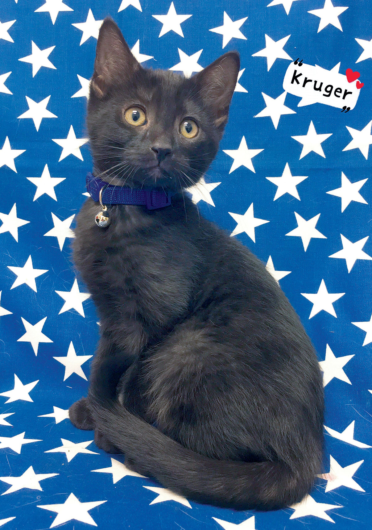 Kruger at Animal Rescue of Tracy